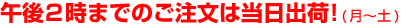 午後2時までのご注文は当日出荷!(月〜土)