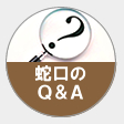 蛇口のＱ＆Ａ