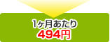 1ヶ月あたり494円