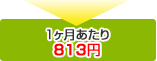 1ヶ月あたり813円