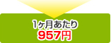 1ヶ月あたり957円