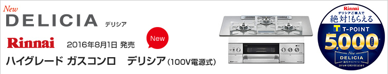 リンナイデリシア(100V電源式)が超特価