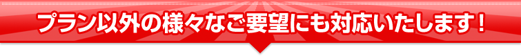 プラン以外の様々なご要望にも対応いたします!