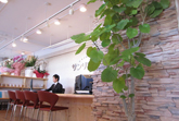 新宿実店舗