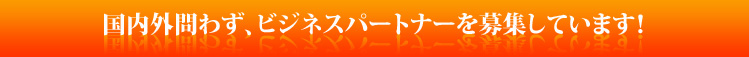 ビジネスパートナー募集
