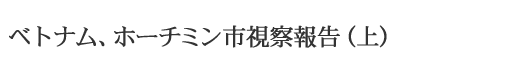ベトナム、ホーチミン市視察報告（上）