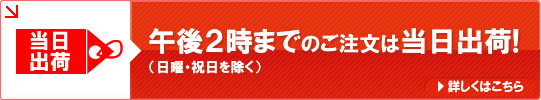 当日２時までのご注文は当日出荷
