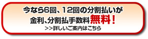 12回分割払い