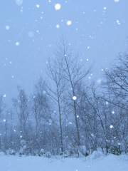 snow.jpg