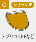 タイプG（アプリコットFなど）