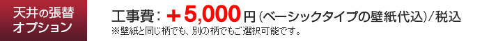 天井の張り替えオプション 工事費+3,000円(ベーシックタイプの壁紙代込)/税込 ※壁紙と同じ柄でも、別の柄でもご選択可能です。