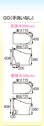 GG（手洗いなし）