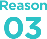 reason 03