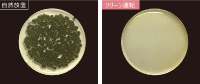 「浮遊カビ菌」除菌効果