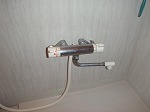s-PA230025
