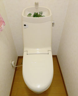 施工前 トイレ