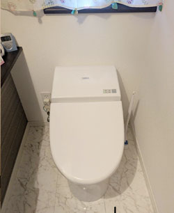 トイレ　交換前