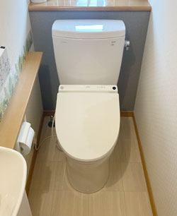 トイレ施工前
