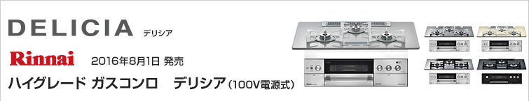 リンナイデリシア(100V電源式)が超特価