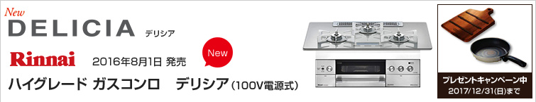 リンナイデリシア(100V電源式)が超特価