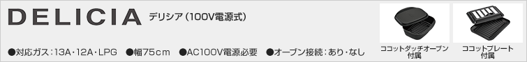 デリシア(100V電源式)