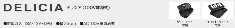 デリシア(100V電源式)
