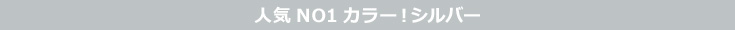 人気NO1カラー!シルバー