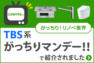 TBS系・がっちりマンデー！！で交換できるくんが紹介されました