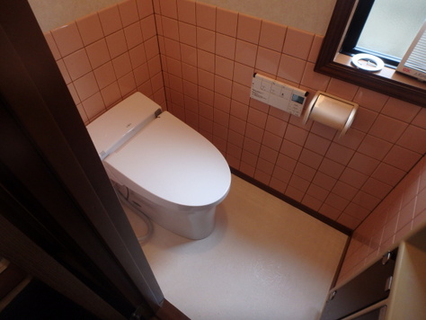 D-S525H(GBC-S12H+DV-S525H)｜サティス SタイプSR5｜リクシル