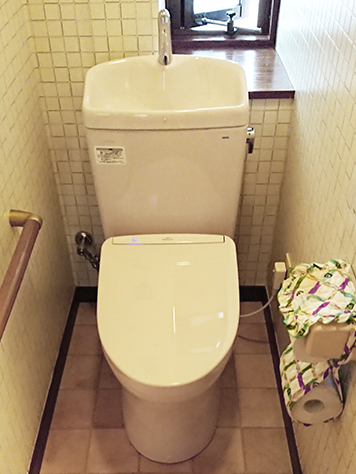 政治家の 名誉ある 振り向く C710 トイレ 地質学 写真を描く 行き当たりばったり