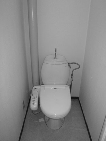 マンションのシステムトイレリフォーム 立管 を隠してスッキリさせよう 交換できるくん