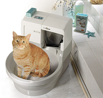 猫用トイレ スタッフブログ 交換できるくん