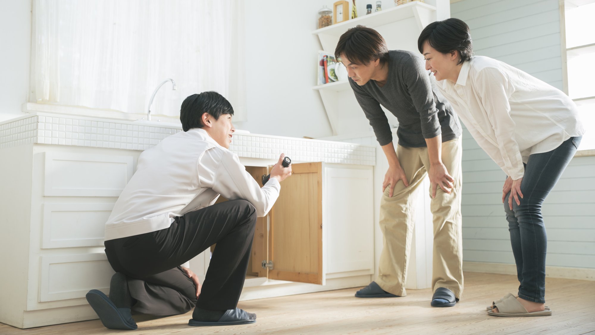 一軒家 シロアリ 駆除業者 選び方