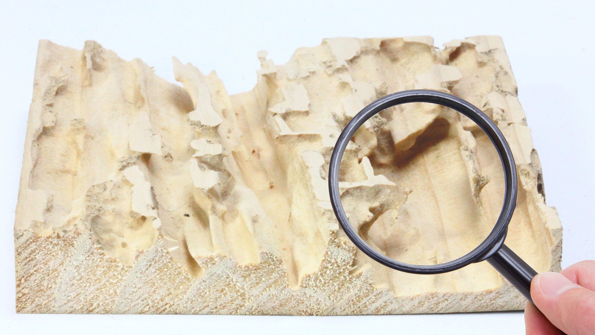 シロアリ駆除 費用 一軒家 決まり方