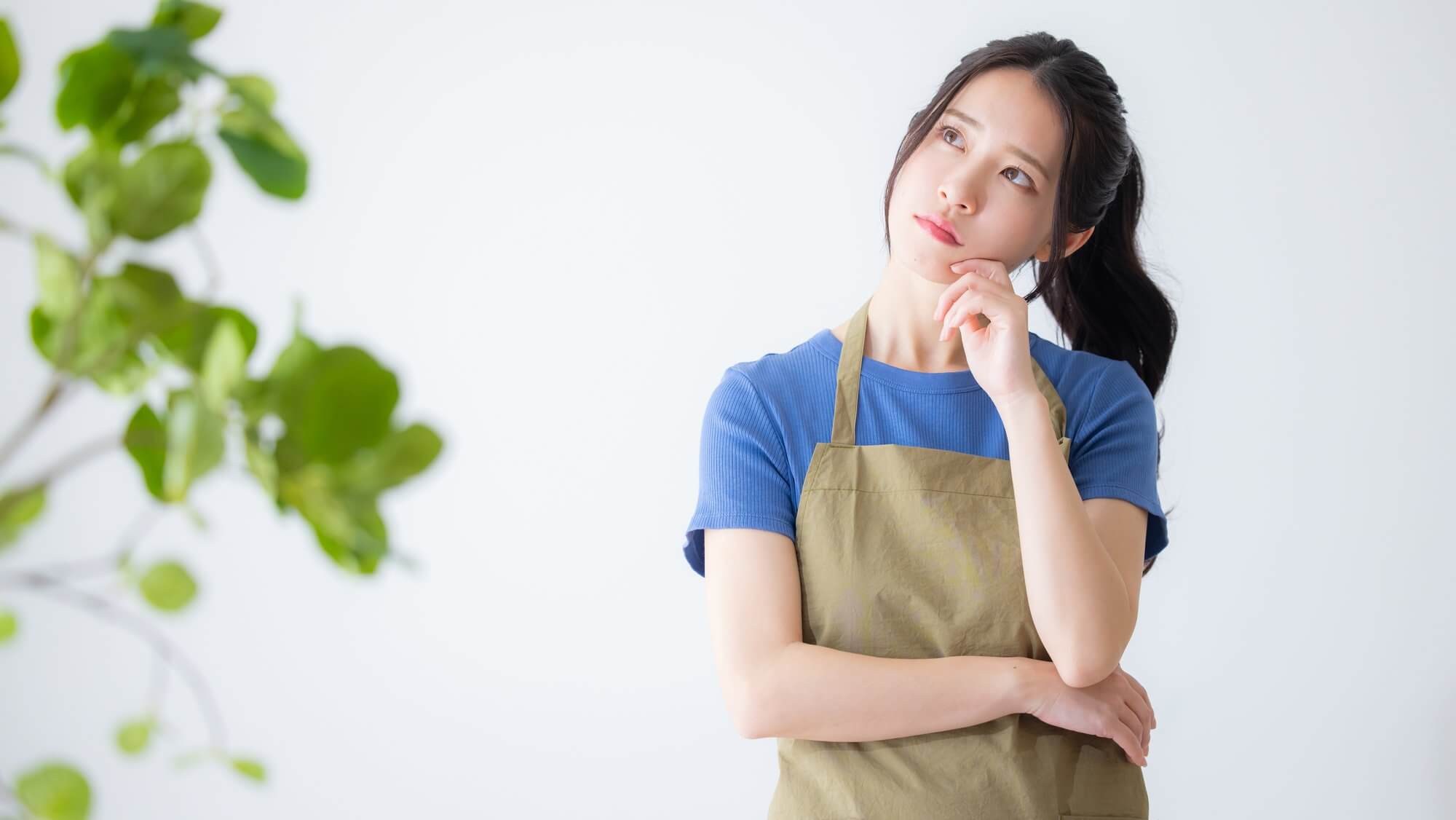 ビルトイン食洗機 交換 できる 場所
