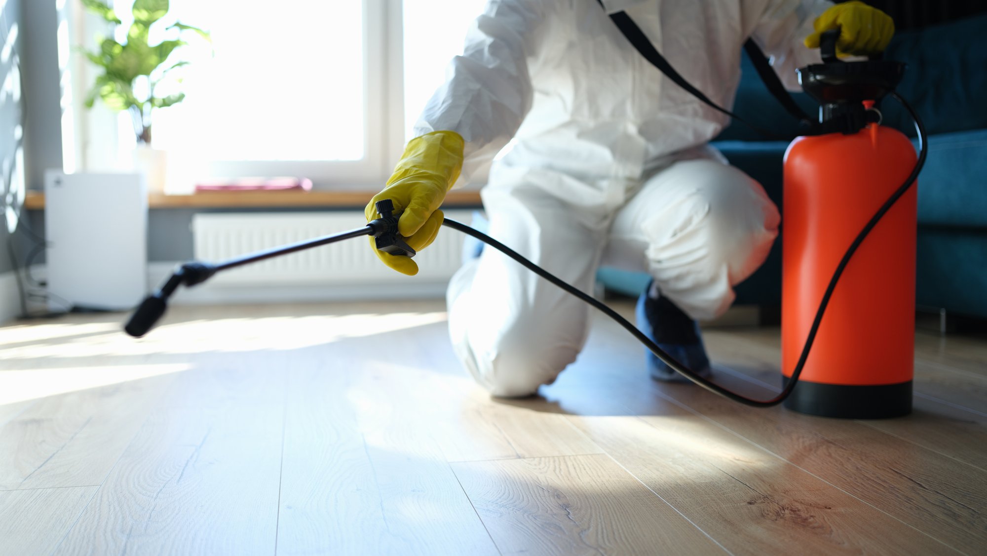 シロアリ駆除 費用