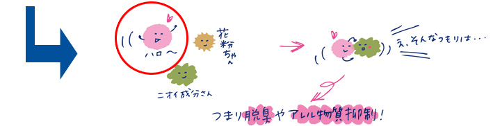 脱臭やアレル物質抑制