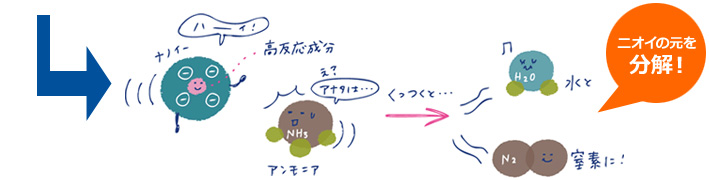 ニオイの元を分解