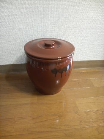 p1000155.jpg