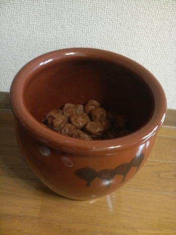 p1000156.jpg