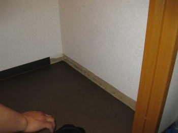 img_1450_3.jpg