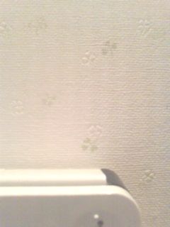 20110722154450.jpg