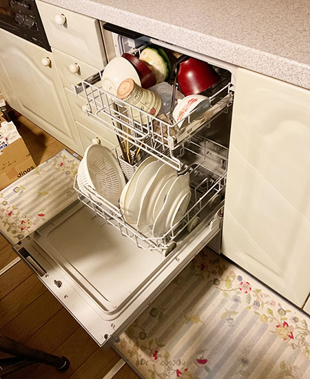 リンナイ ビルトイン食洗機 フロントオープン型 [幅45cm/奥行60cm][ドアパネル型※化粧パネル付属(グレー光沢)][操作部カラー：シルバー]