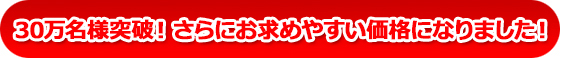 30万名様突破!さらにお求め安い価格になりました!