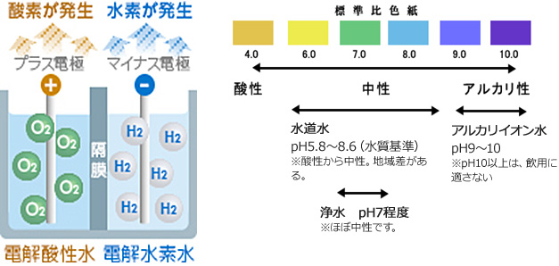電気分解の構造図