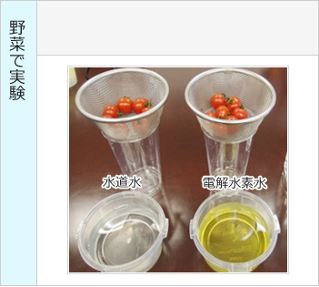 野菜で実験