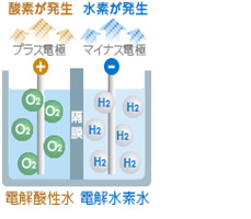 プラチナメッキ電極図