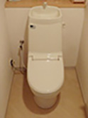 福岡県糸島市の施工事例|C-110PT