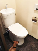 東京都豊島区でトイレ交換をしたU様邸|お客様の声紹介