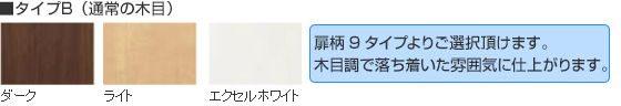 カラータイプB